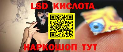 дмт Новокубанск