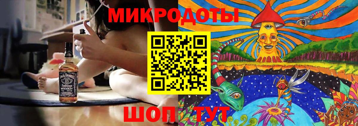 Псилоцибиновые грибы Psilocybe Тобольск